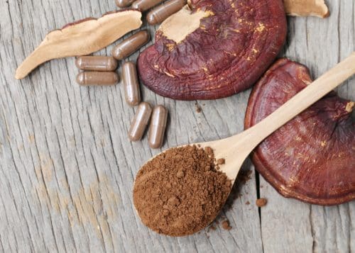 Reishi Mushrooms