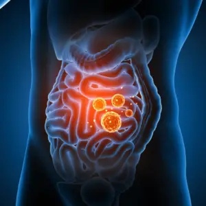 Turkey Tail mushroom gut health