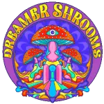 Dreamer Shrooms brand page logo