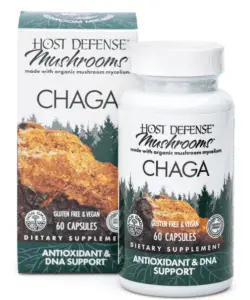 chaga capsules and box