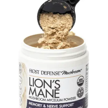 Lion's Mane powdered mushrooms