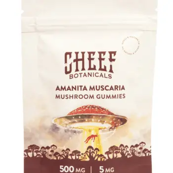 Cheef Amanita Muscaria dried mushrooms
