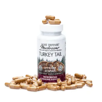 turkey tail capsules 
