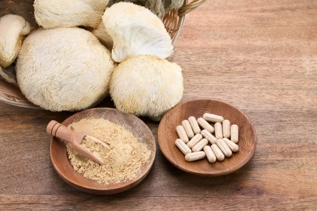 What Are Mushroom Supplements?
