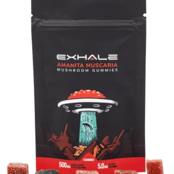 Amanita Muscaria gummies and bag