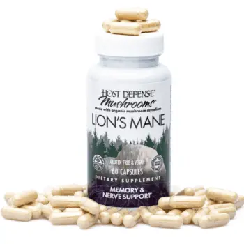 Lion's Mane mushroom capsules