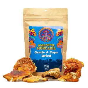 Dreamer Shrooms Amanita Muscaria Dried Mushrooms (20 grams)