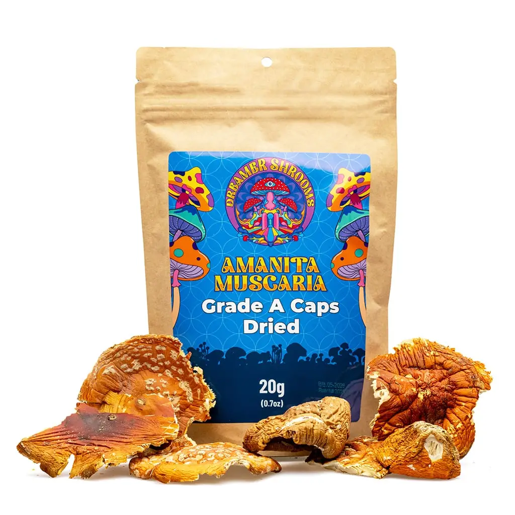 Dreamer Shrooms Amanita Muscaria Dried Mushrooms (20 grams) - Image 1