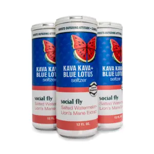 Asheville Dispensary Kava & Blue Lotus Seltzer 4-Pack - Social Fly Front