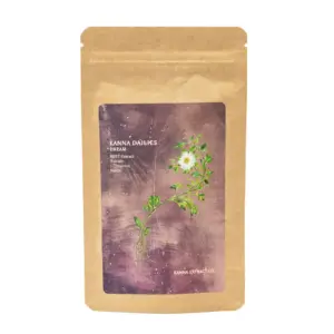 Kanna Extract Co. Kanna Capsules - Dream - Image 2