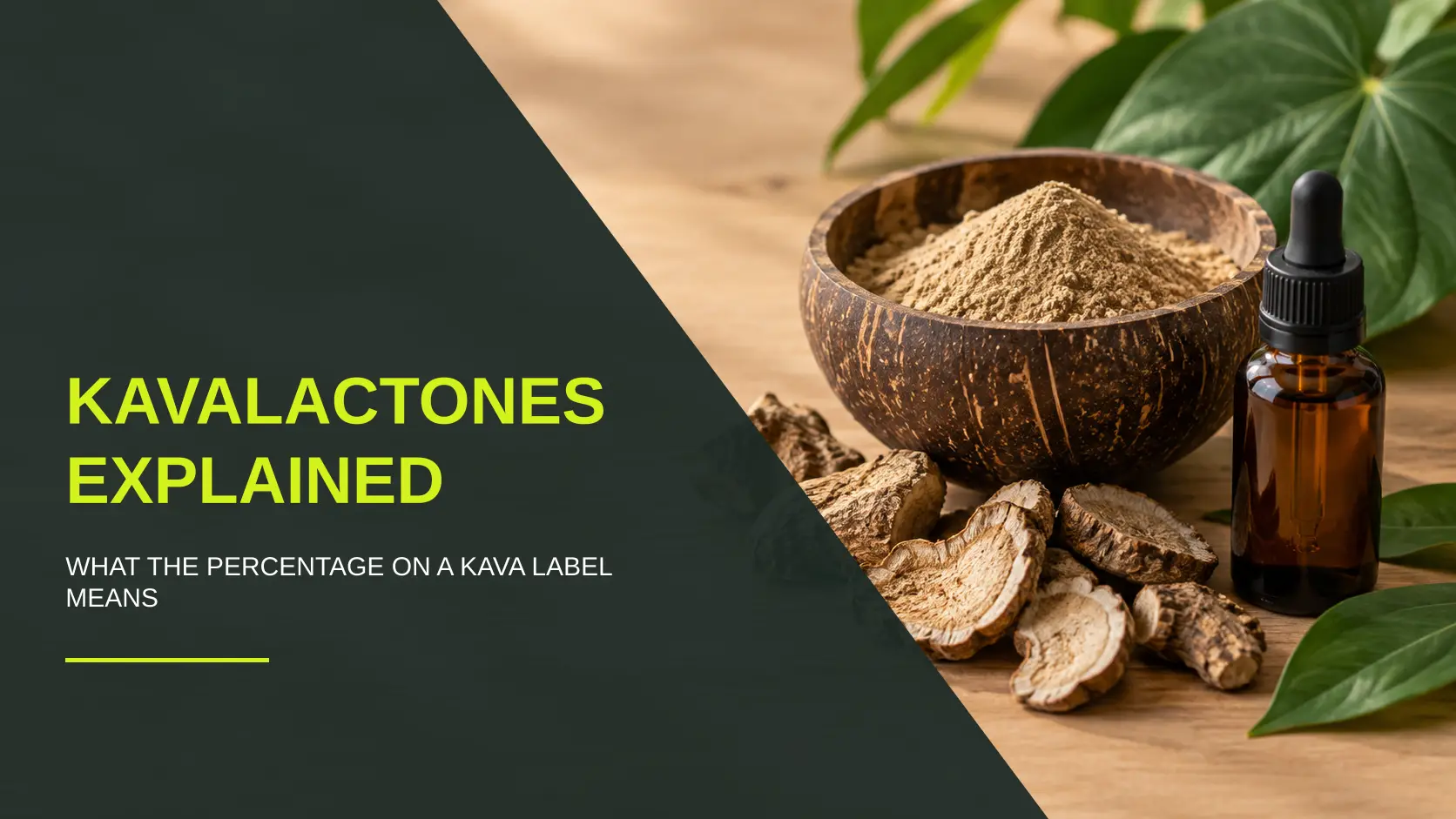 Kava Extract Explained: Kavalactones and Labels